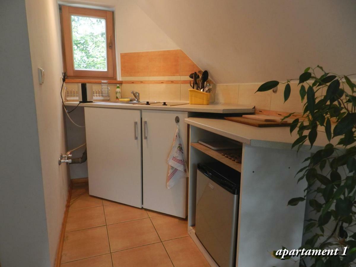 Apartamencik Z Widokiem Na Giewont Zakopane Exterior photo